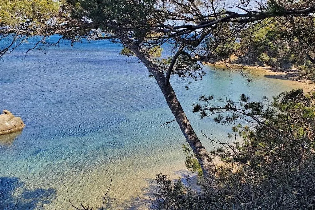 Appartement Dans Residence Avec Piscine La Londe-les-Maures France